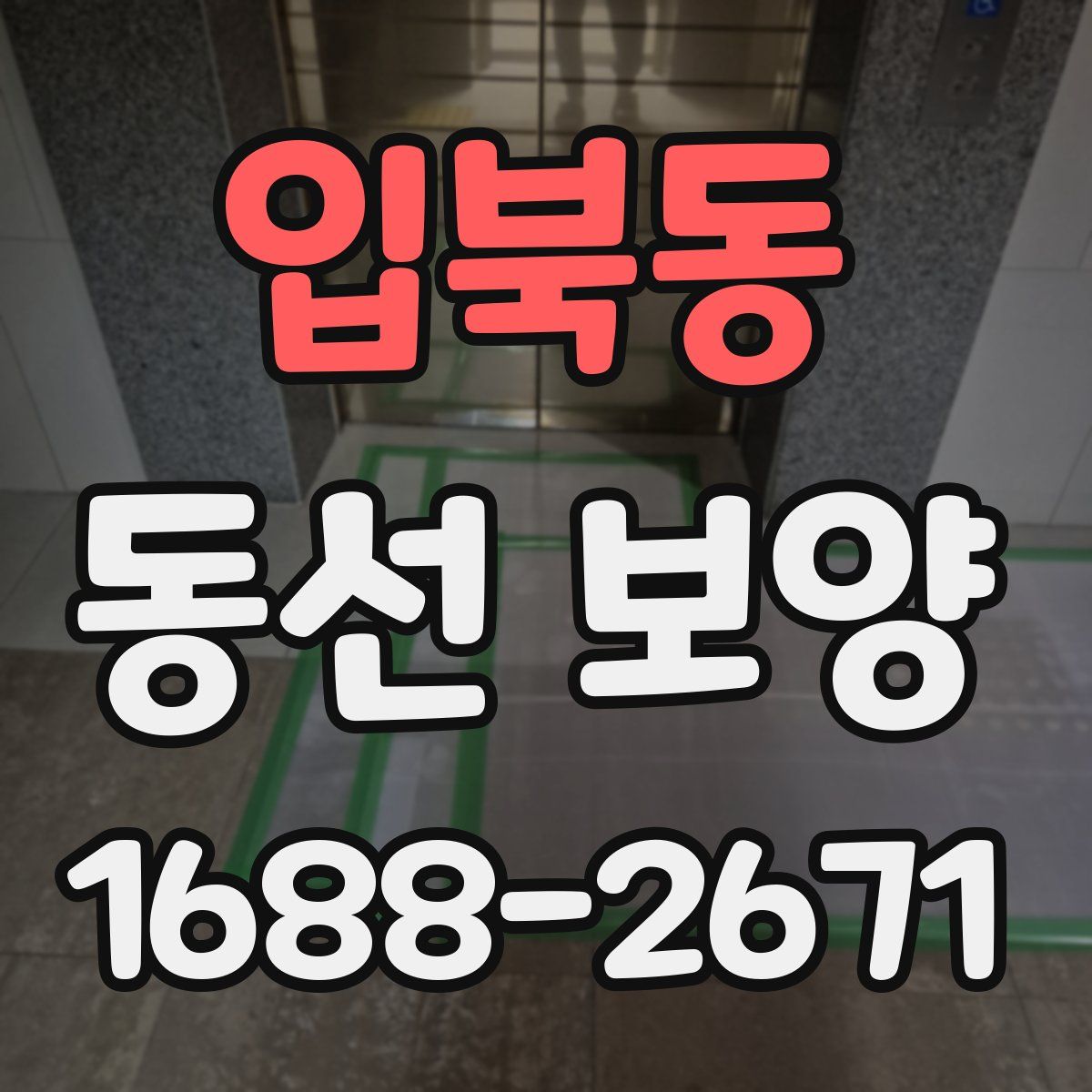 입북동 동선 보양