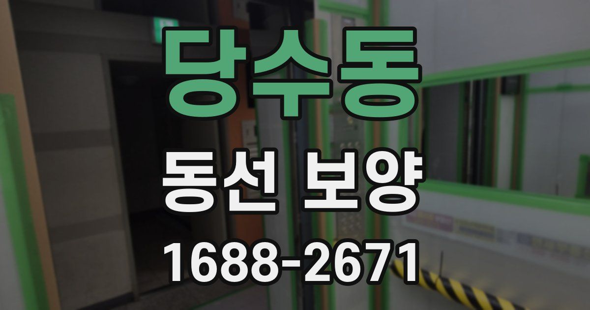 당수동 동선 보양