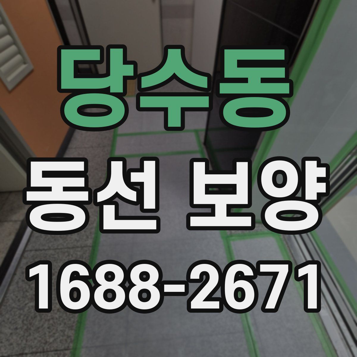 당수동 동선 보양