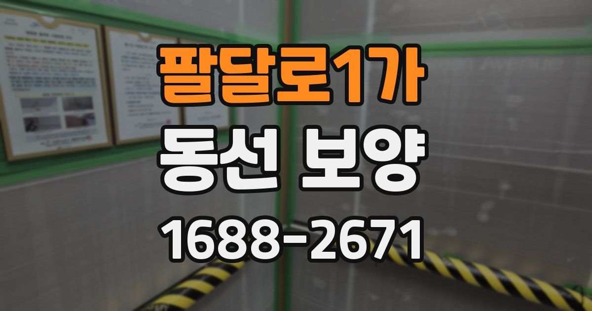 팔달로1가 동선 보양