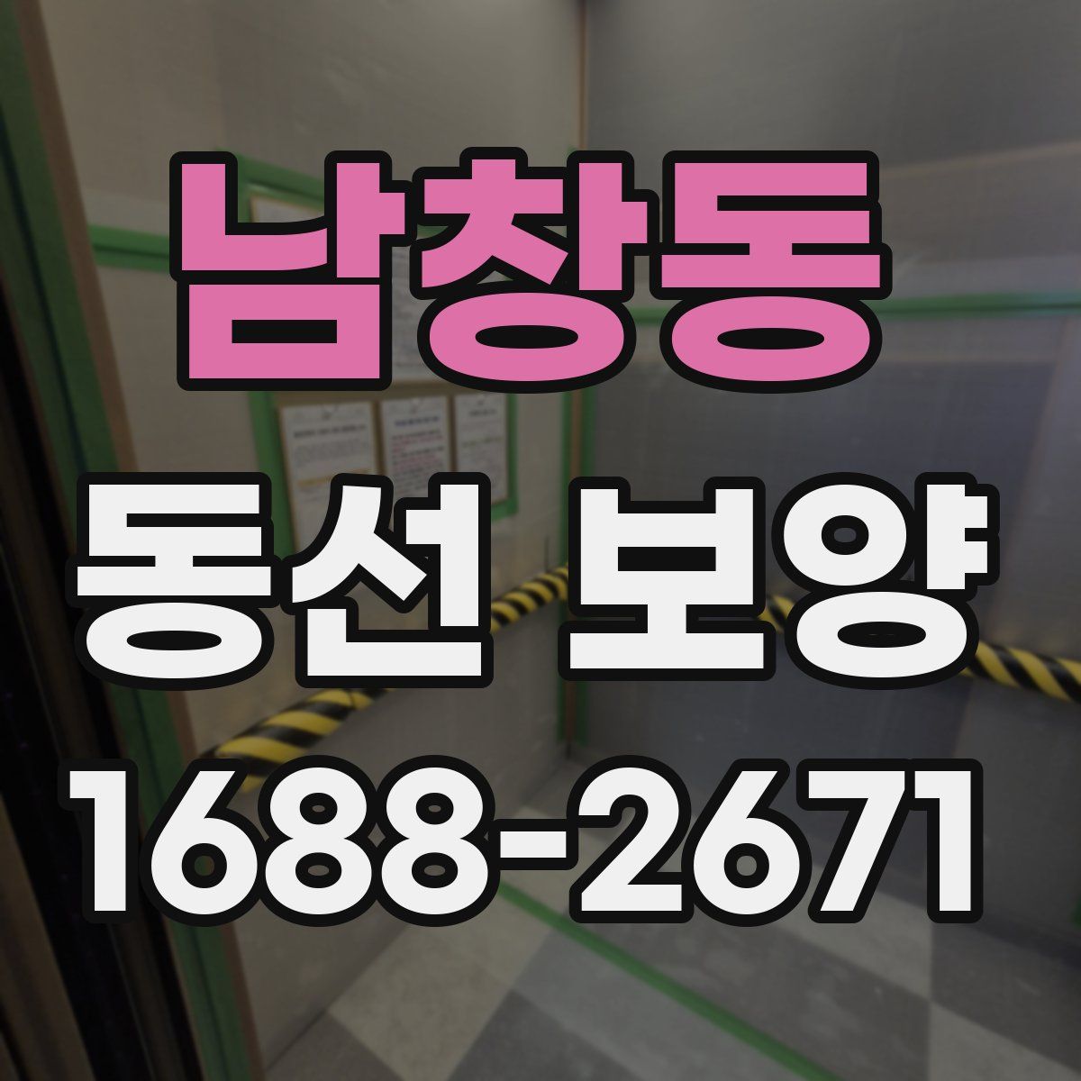 남창동 동선 보양
