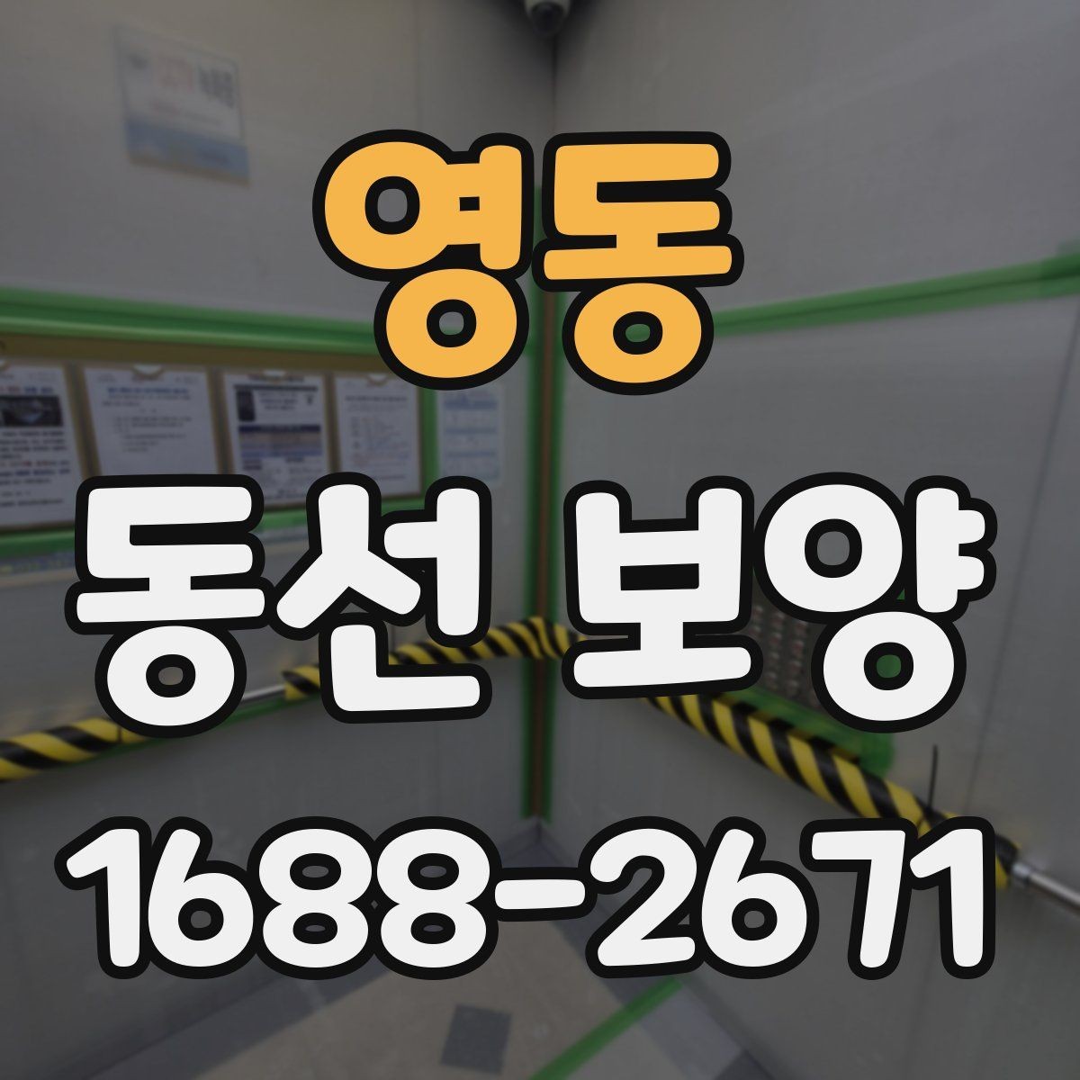 영동 동선 보양 과정에서 생길 수 있는 문제와 대응