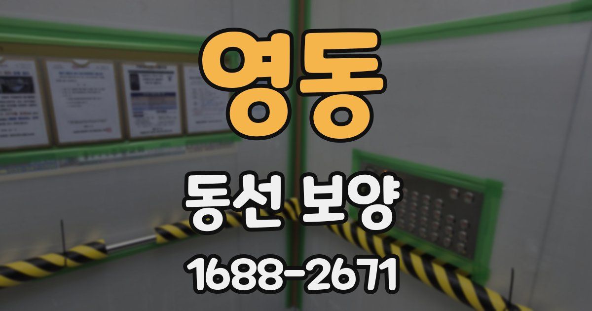 영동 동선 보양