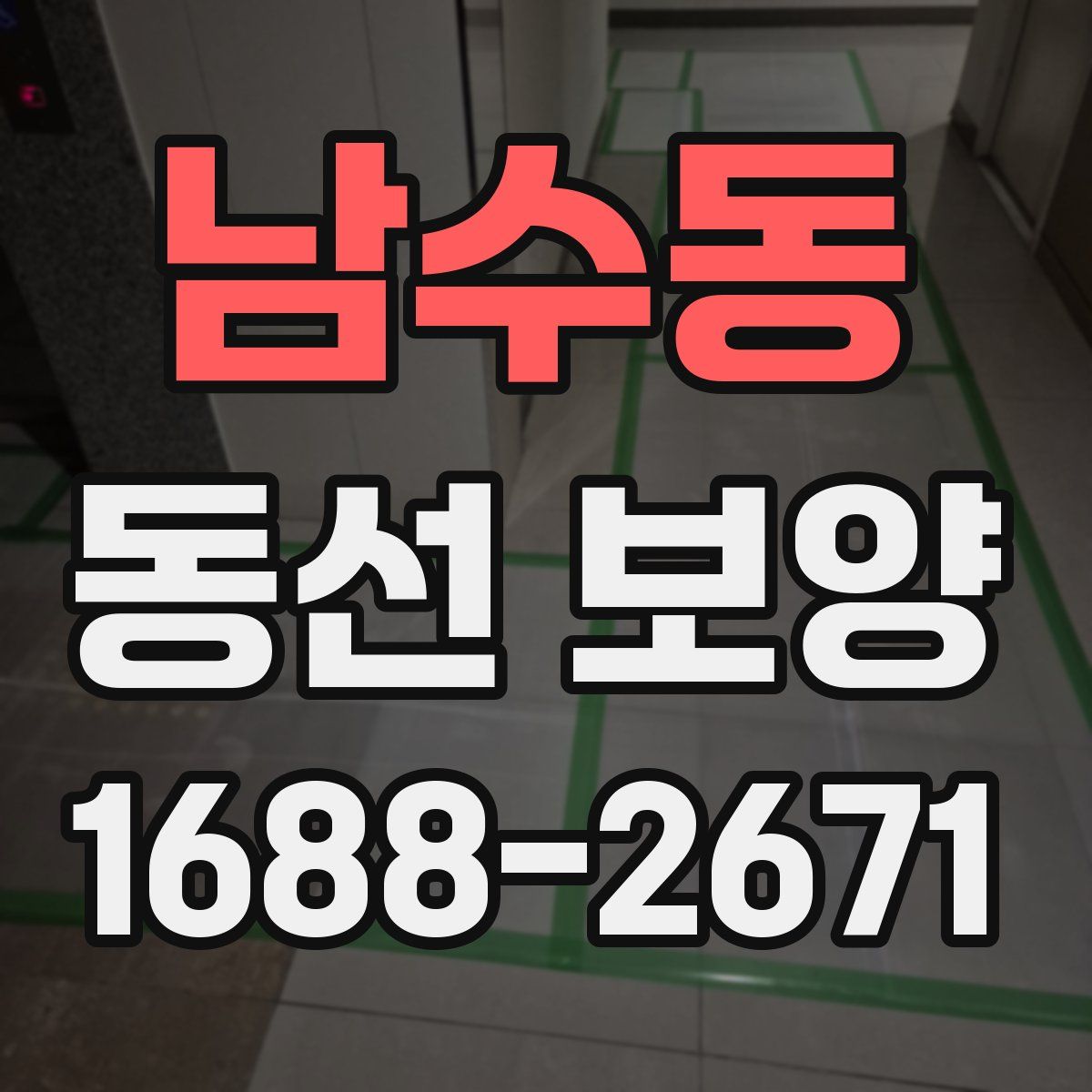 남수동 동선 보양