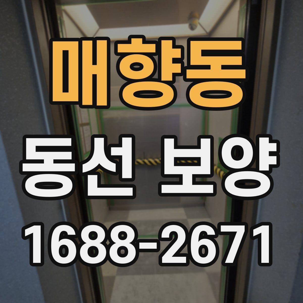 매향동 동선 보양 현장 사진으로 보는 업무 흐름