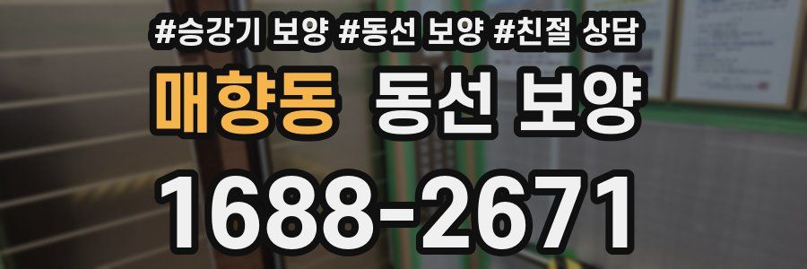 매향동 동선 보양