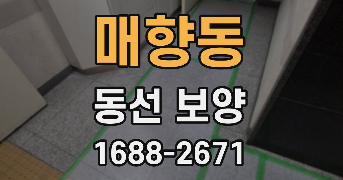 매향동 동선 보양