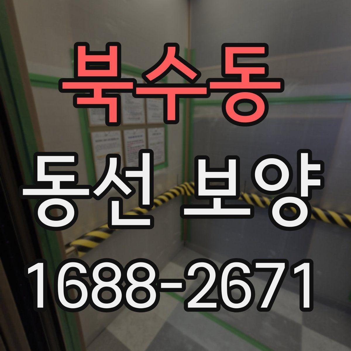 북수동 동선 보양 방법을 상황별로 나누어 보기