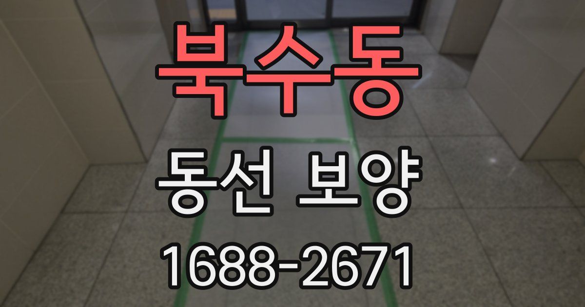 북수동 동선 보양