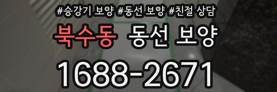 북수동 동선 보양