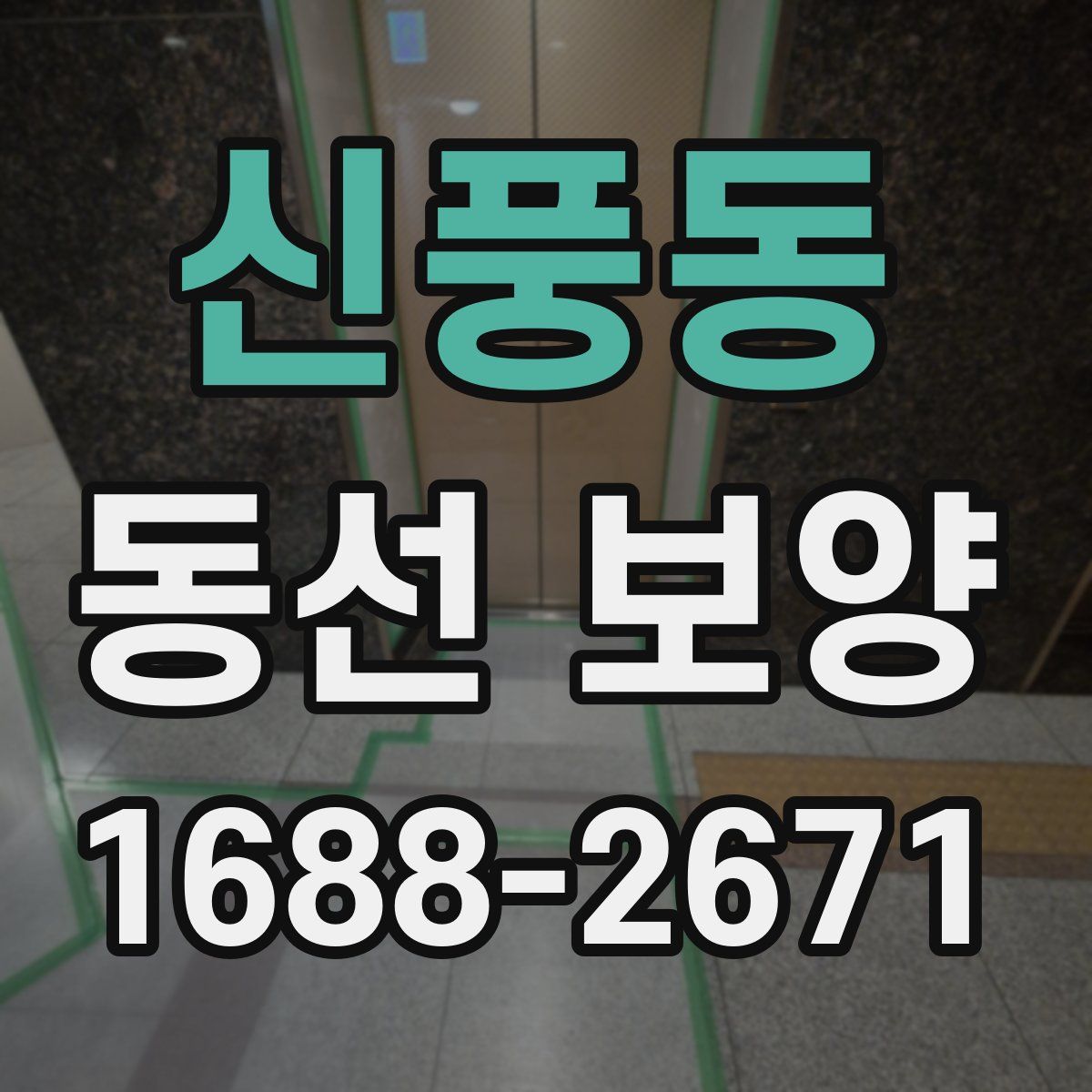신풍동 동선 보양