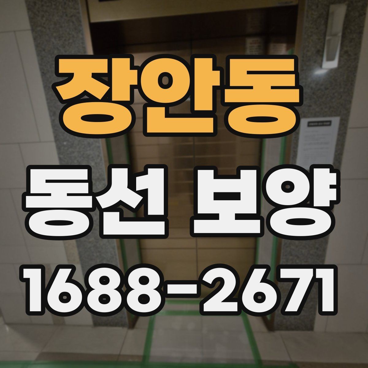 장안동 동선 보양 현장에서는 어떤 점을 먼저 볼까
