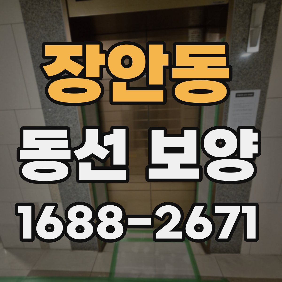 장안동 동선 보양