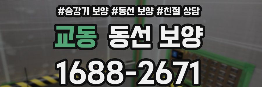 교동 동선 보양