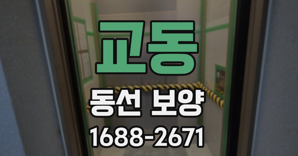 교동 동선 보양