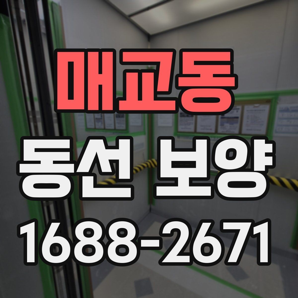 매교동 동선 보양 시공 전후 관리 방법