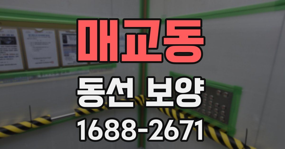 매교동 동선 보양