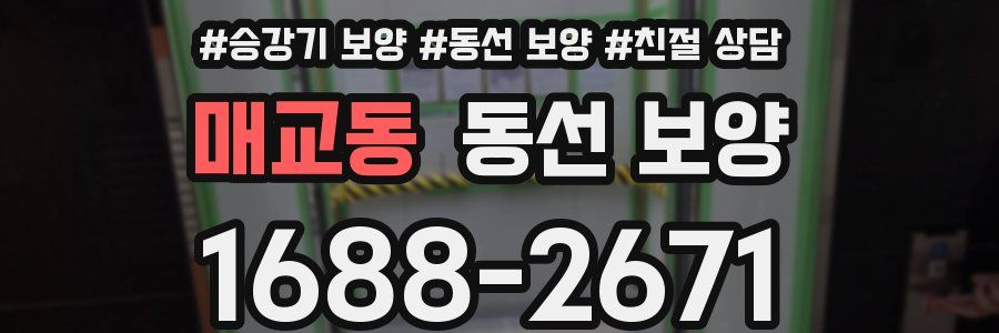 매교동 동선 보양