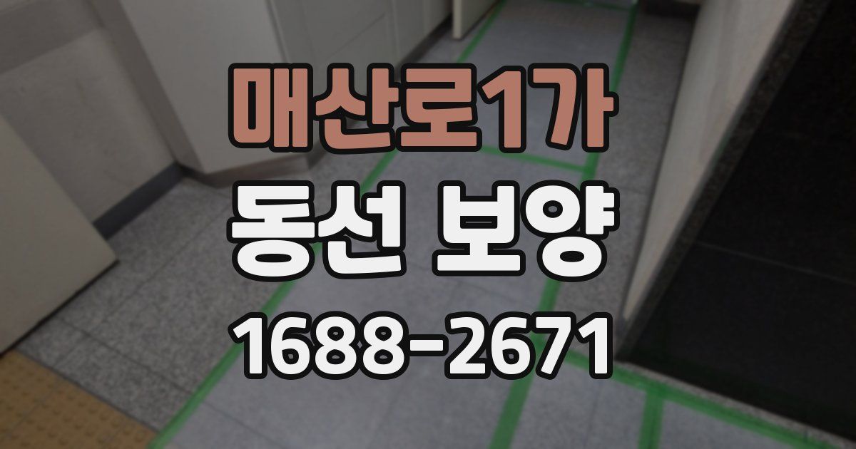 매산로1가 동선 보양