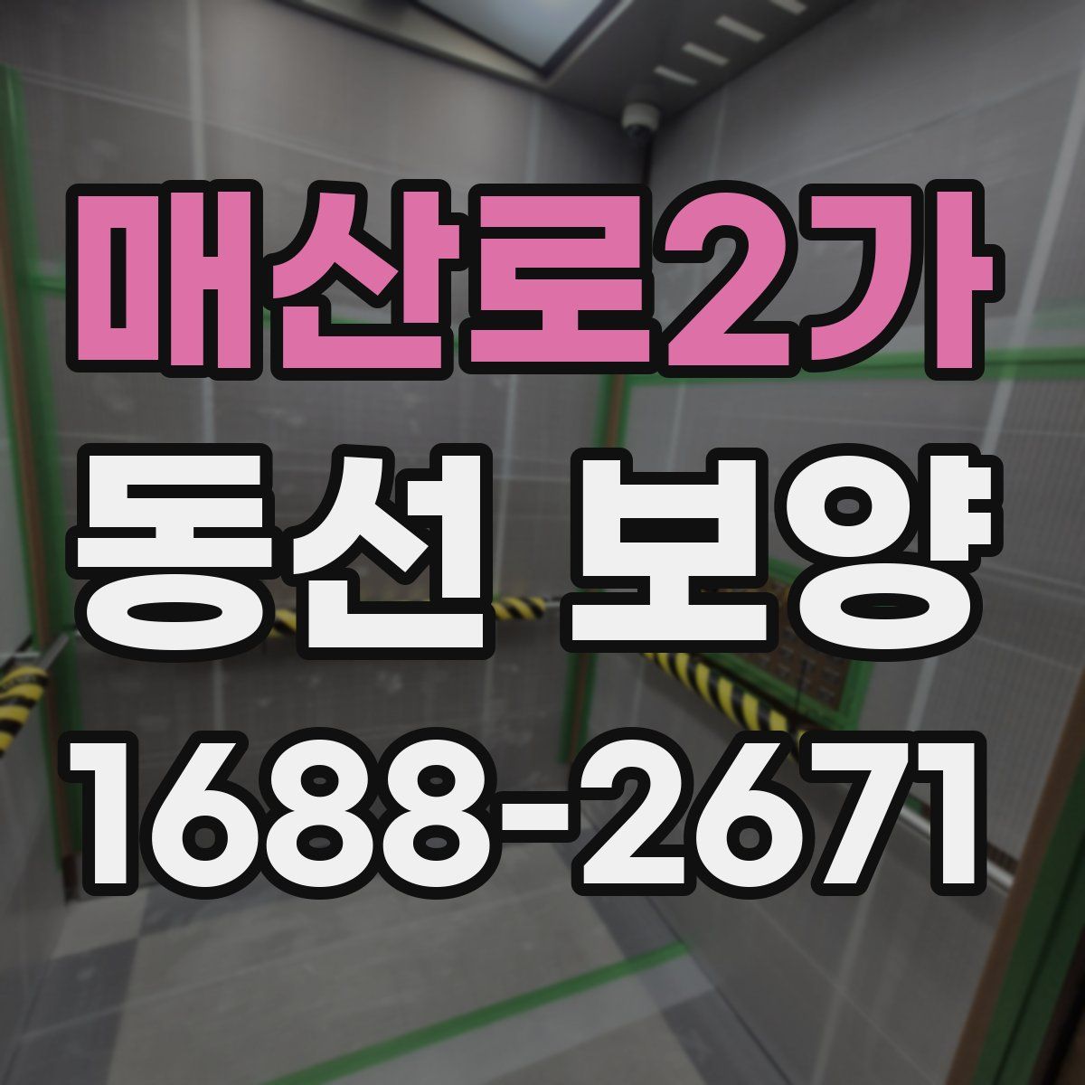 매산로2가 동선 보양