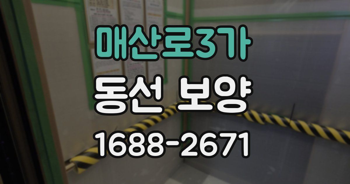 매산로3가 동선 보양
