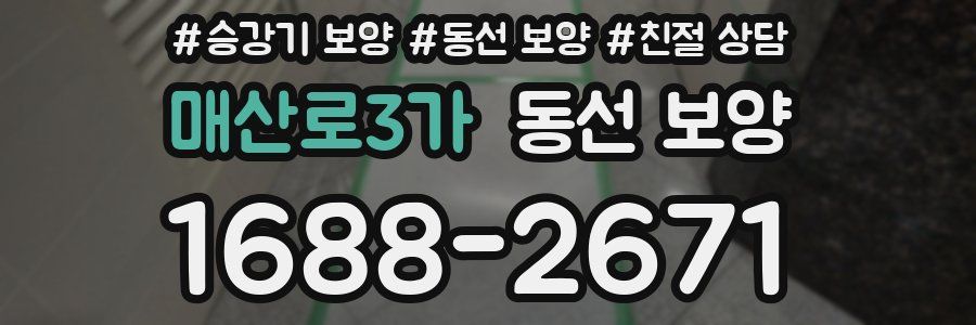 매산로3가 동선 보양