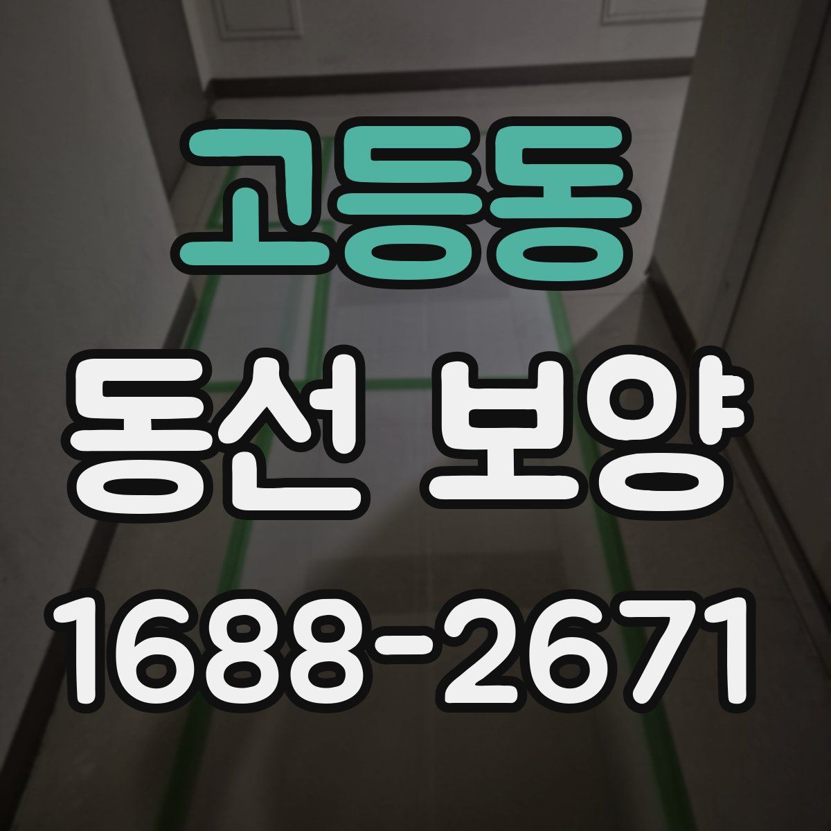 고등동 동선 보양