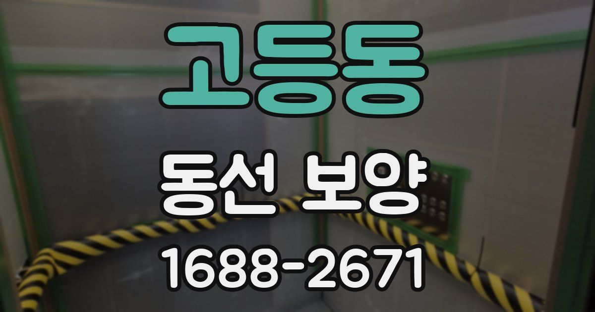 고등동 동선 보양