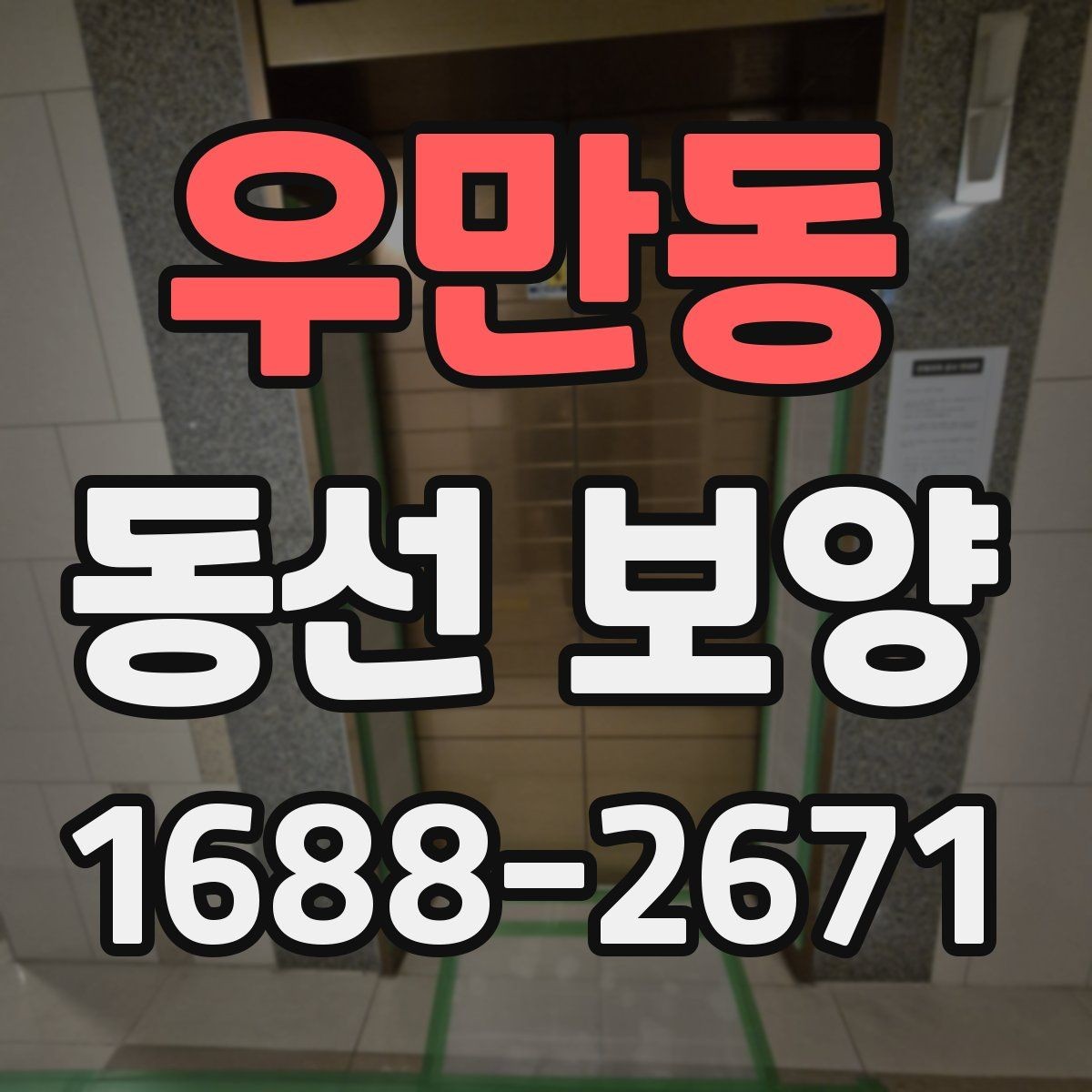 우만동 동선 보양 계획을 세울 때 고려할 요소
