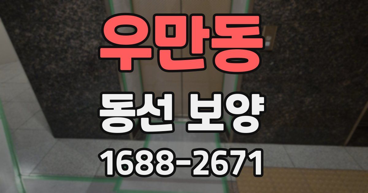 우만동 동선 보양