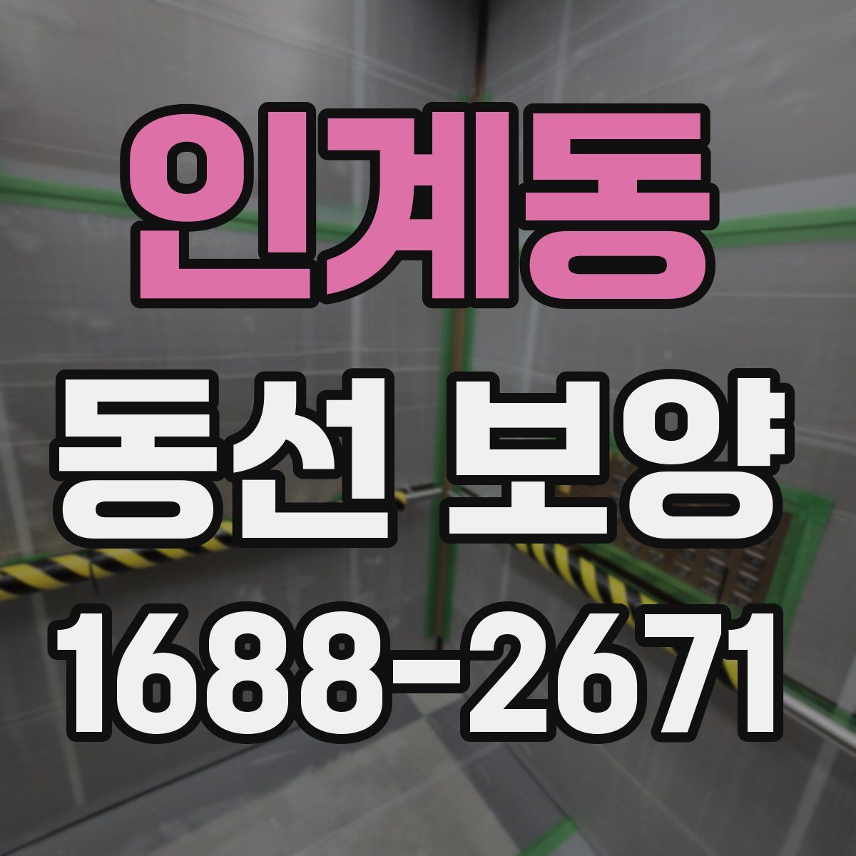 인계동 동선 보양