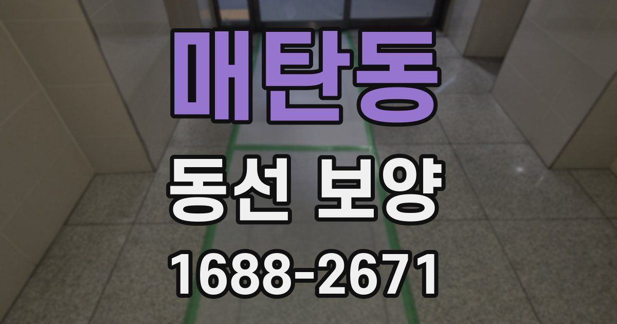 매탄동 동선 보양