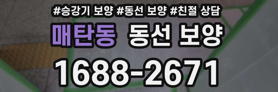 매탄동 동선 보양