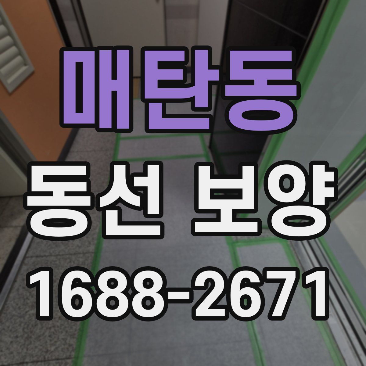 매탄동 동선 보양