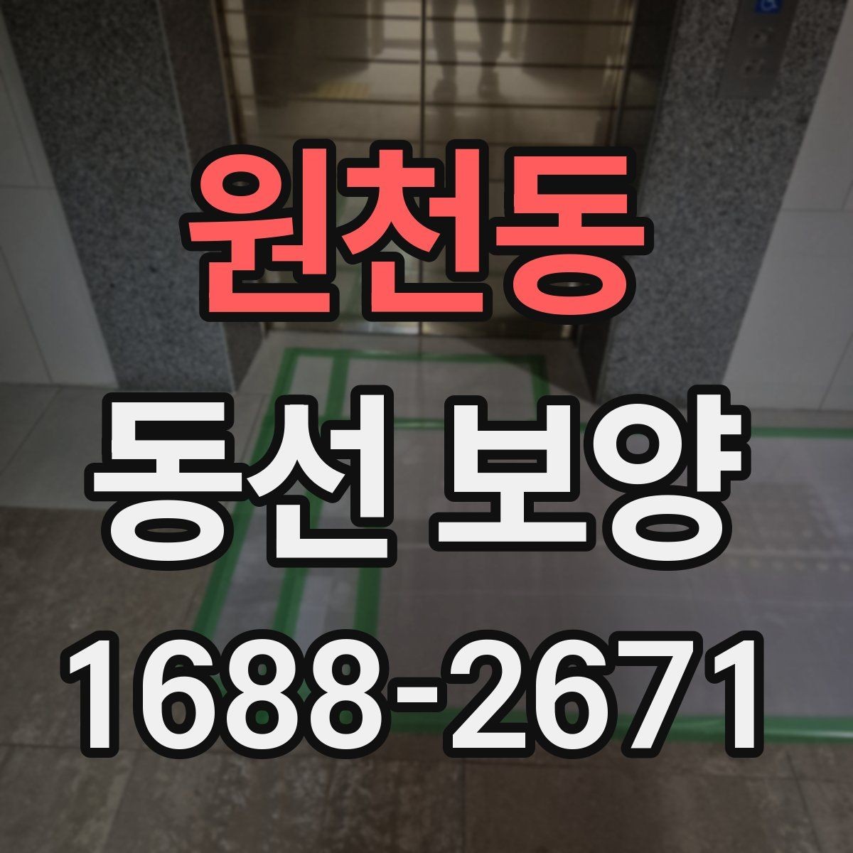 원천동 동선 보양 업체 상담 전에 알아두면 좋은 점