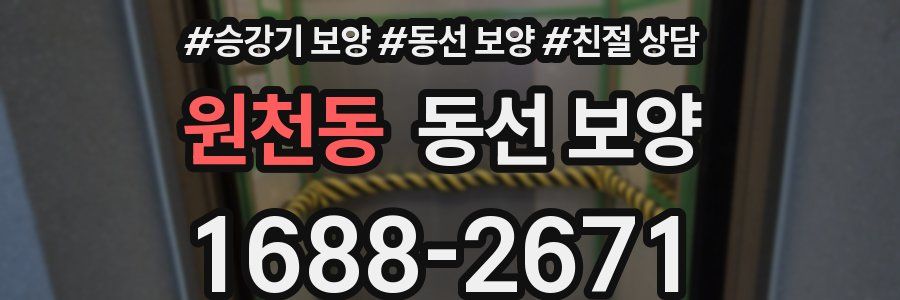 원천동 동선 보양