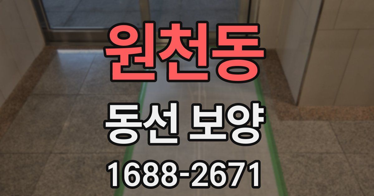 원천동 동선 보양