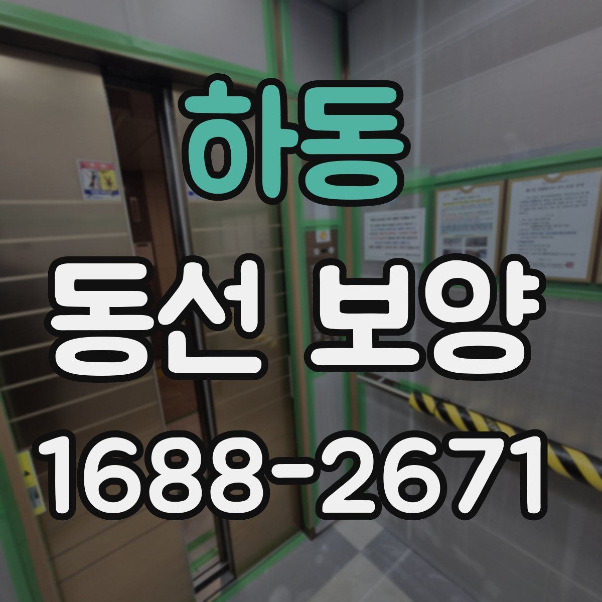 하동 동선 보양
