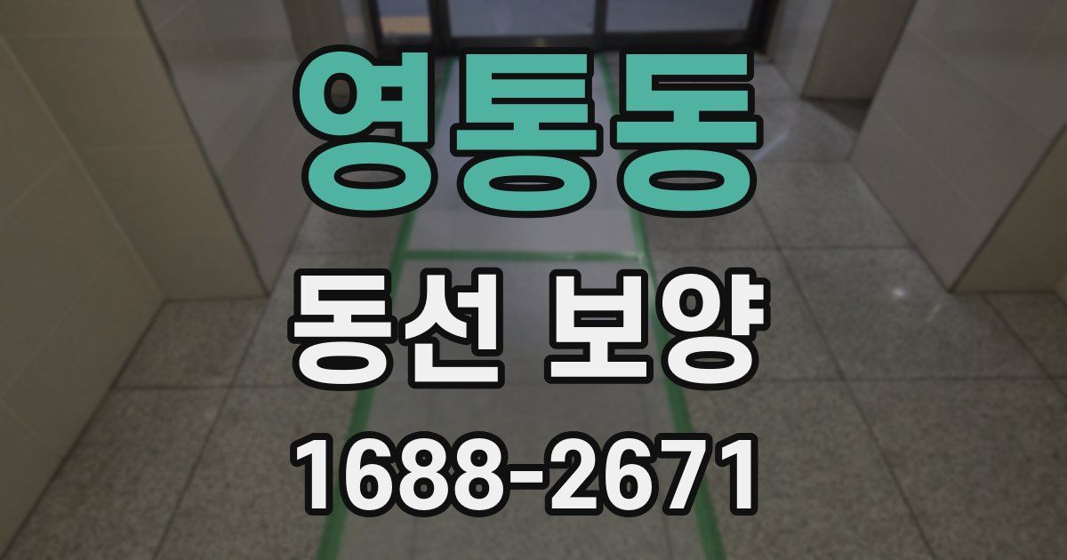 영통동 동선 보양