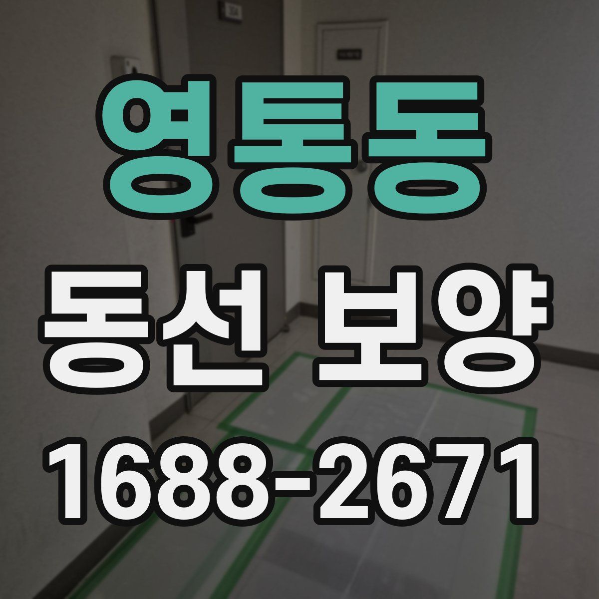 영통동 동선 보양