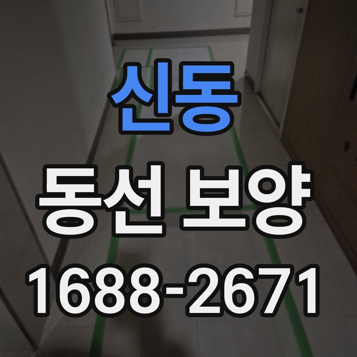신동 동선 보양