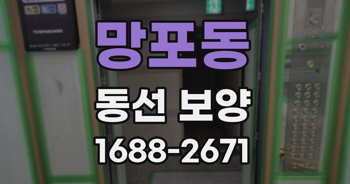 망포동 동선 보양