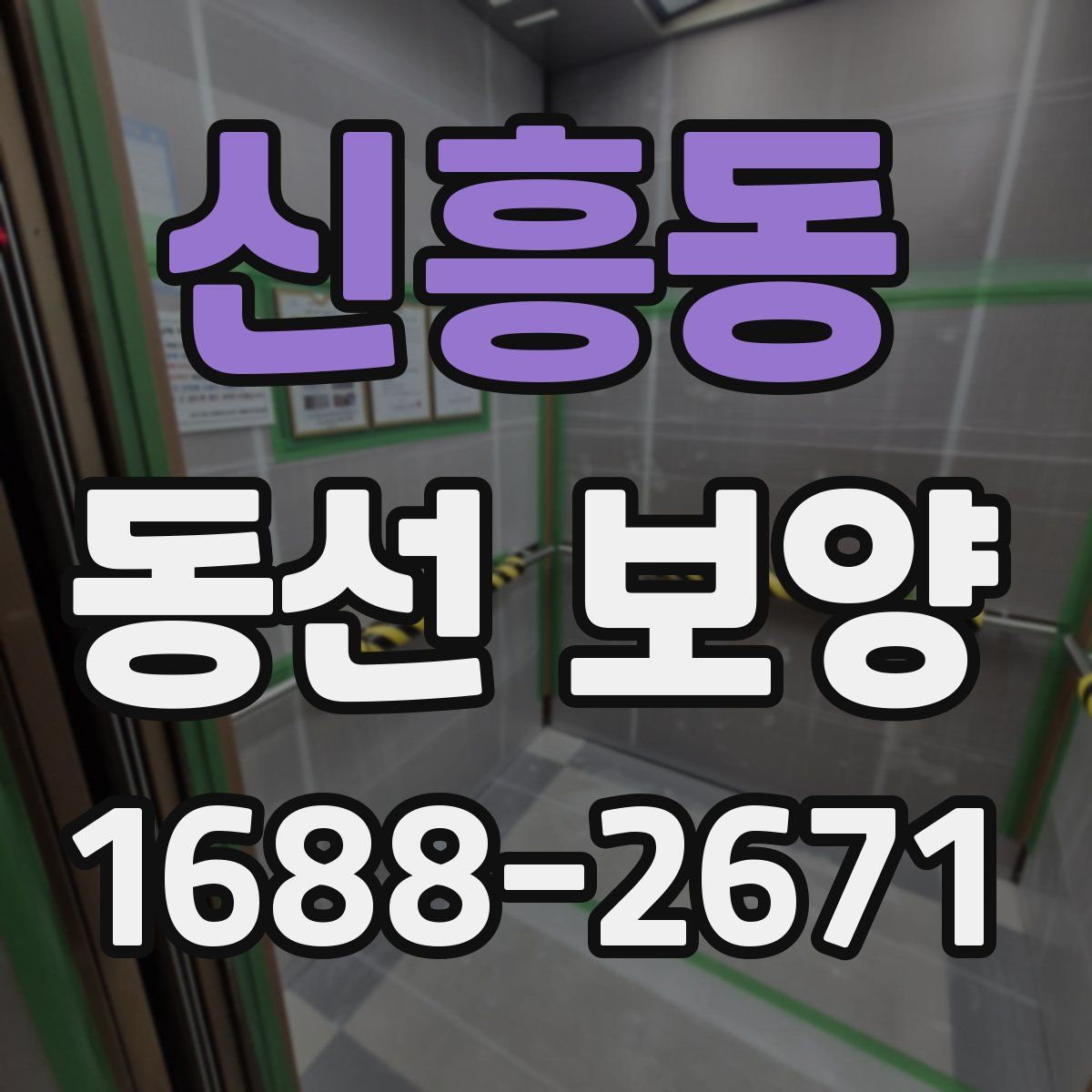 신흥동 동선 보양