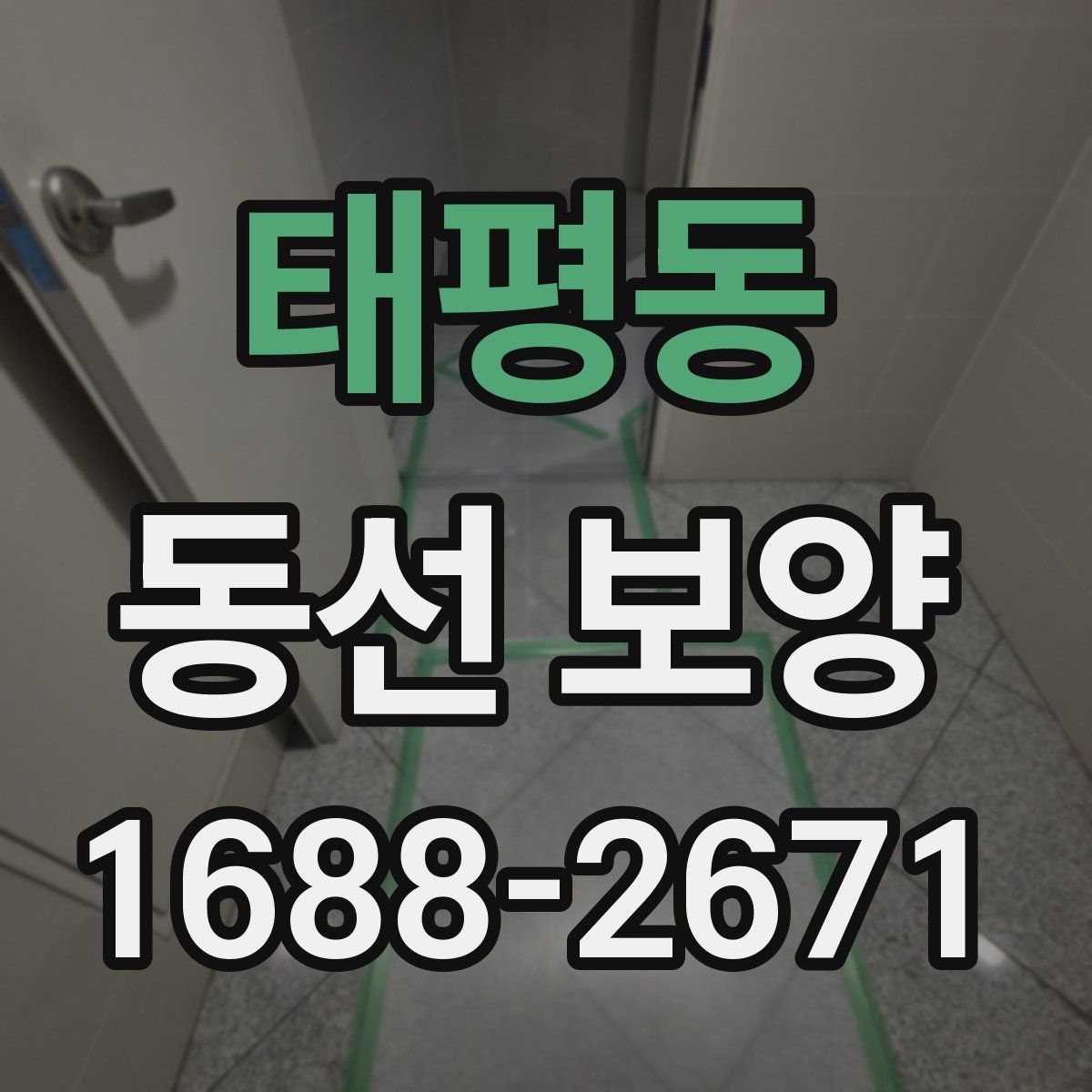 태평동 동선 보양