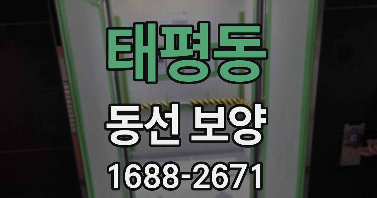 태평동 동선 보양