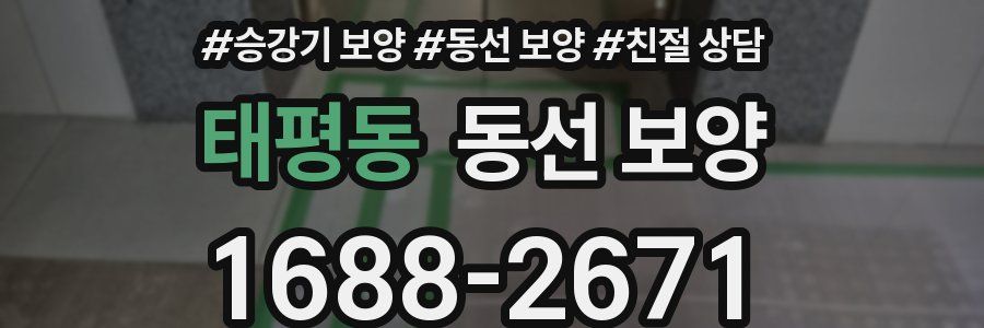 태평동 동선 보양