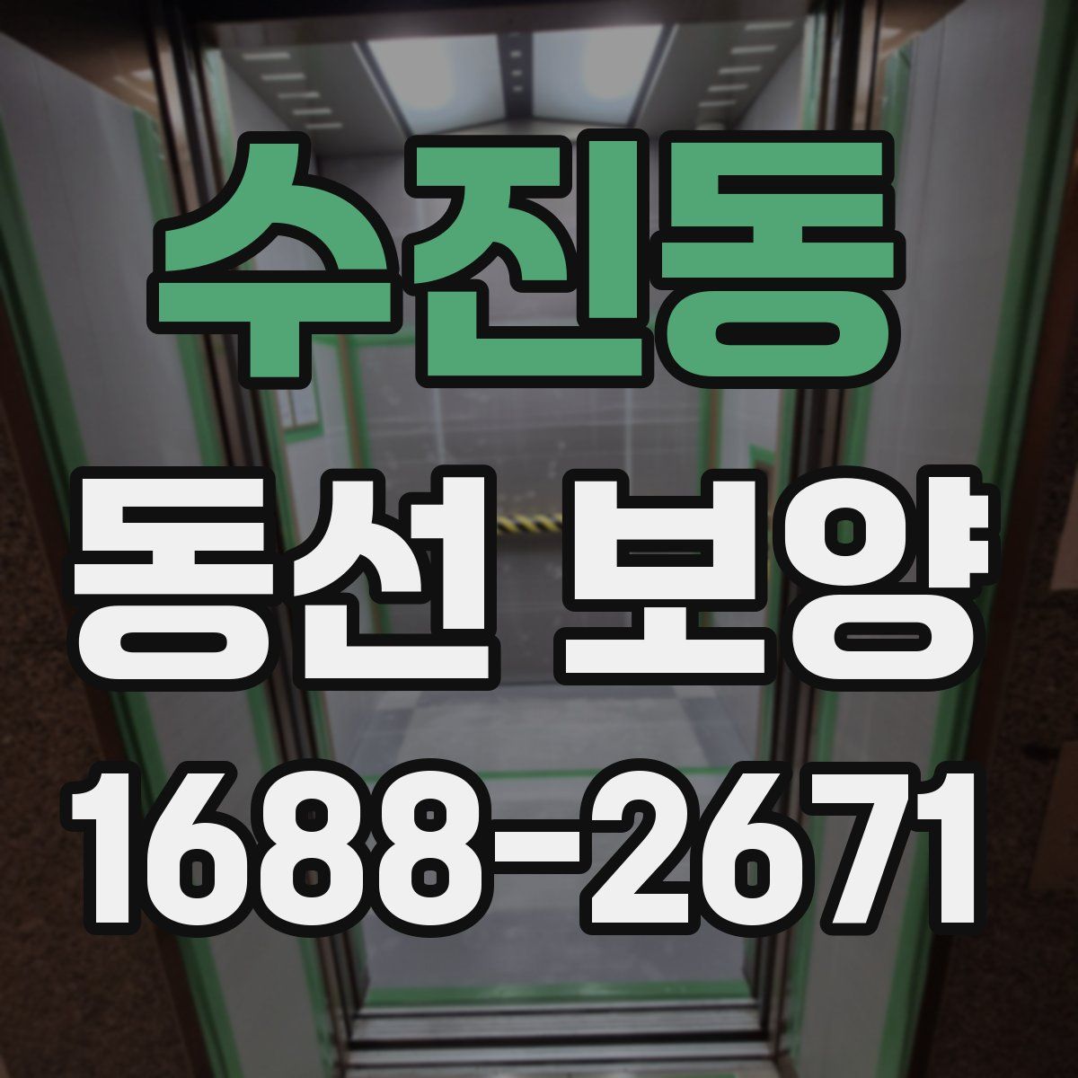 수진동 동선 보양