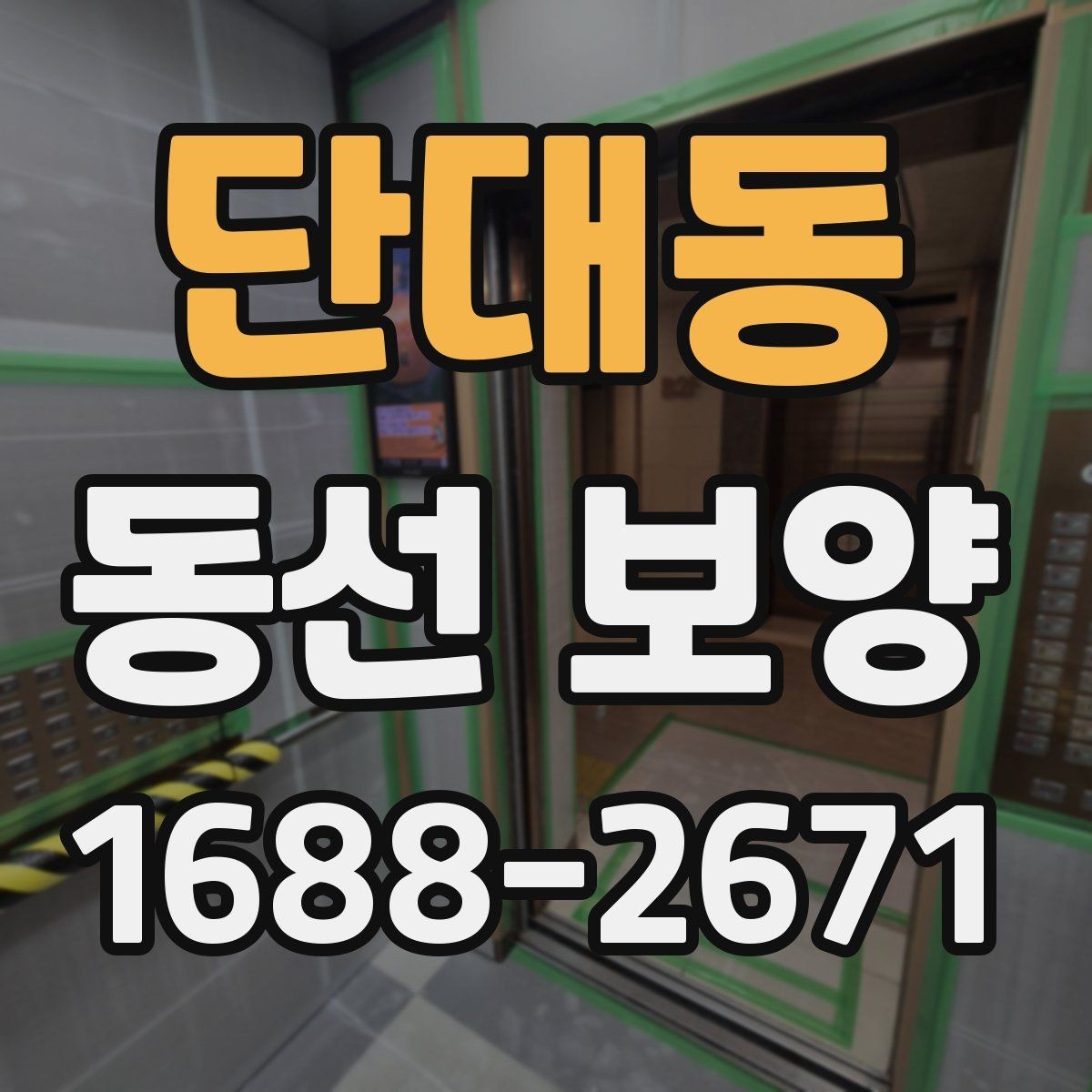 단대동 동선 보양 시공 사례로 보는 준비 포인트