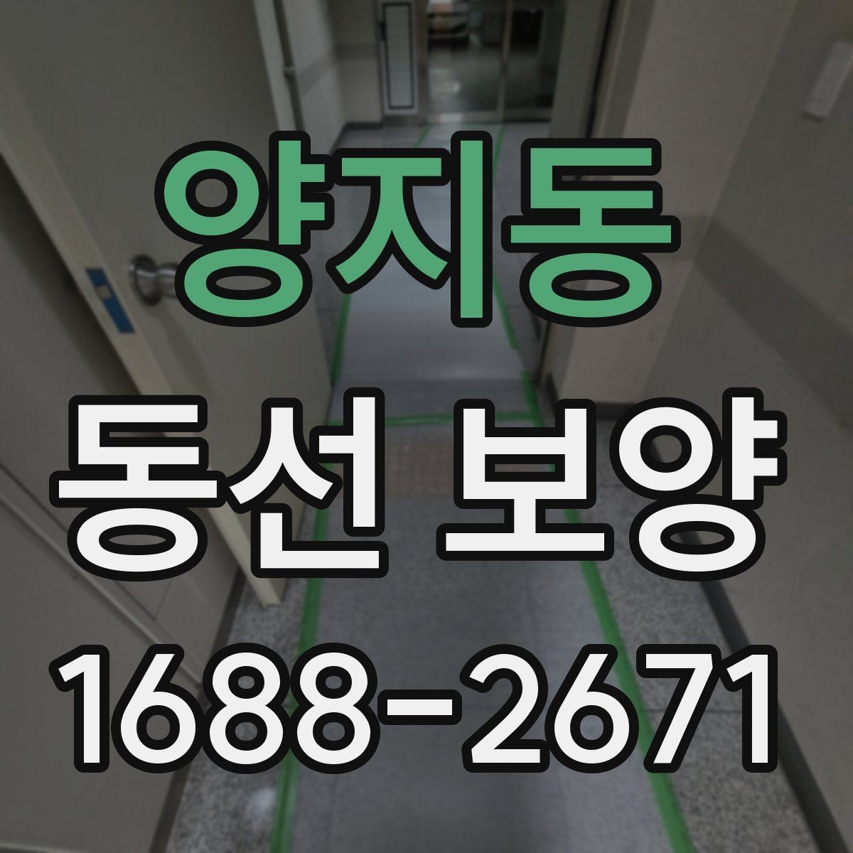 양지동 동선 보양 공사 전에 미리 확인할 부분