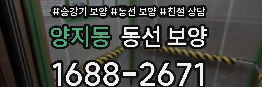 양지동 동선 보양
